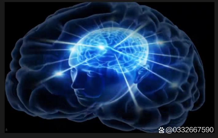 网红博主被扒假学历！名校毕业竟是P图，本人已删号跑路